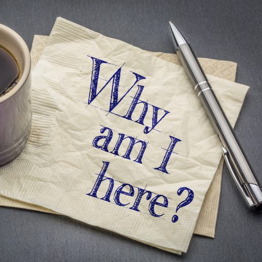 why i am here essay